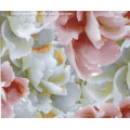 /msite/products/detail/productid/57004094/id/666344.html